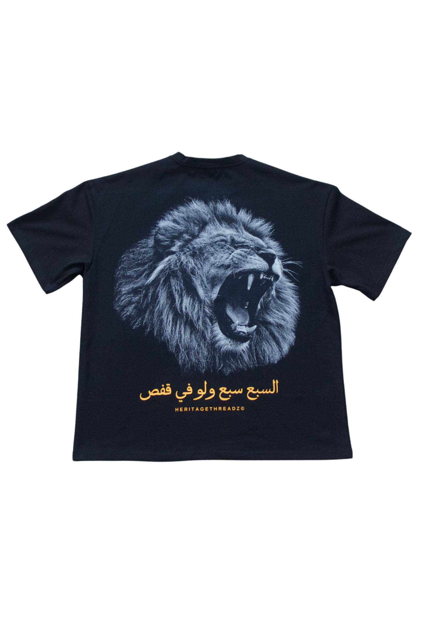 The Lion in the Cage Oversized Heavyweight T-Shirt | Pre-Order (Ships Late June)