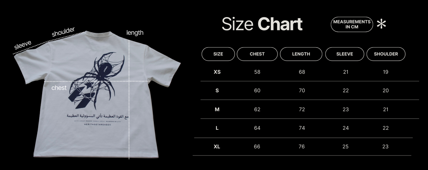 The Spider Web Oversized Heavyweight Tee | Pre-Order (Ships Late June)