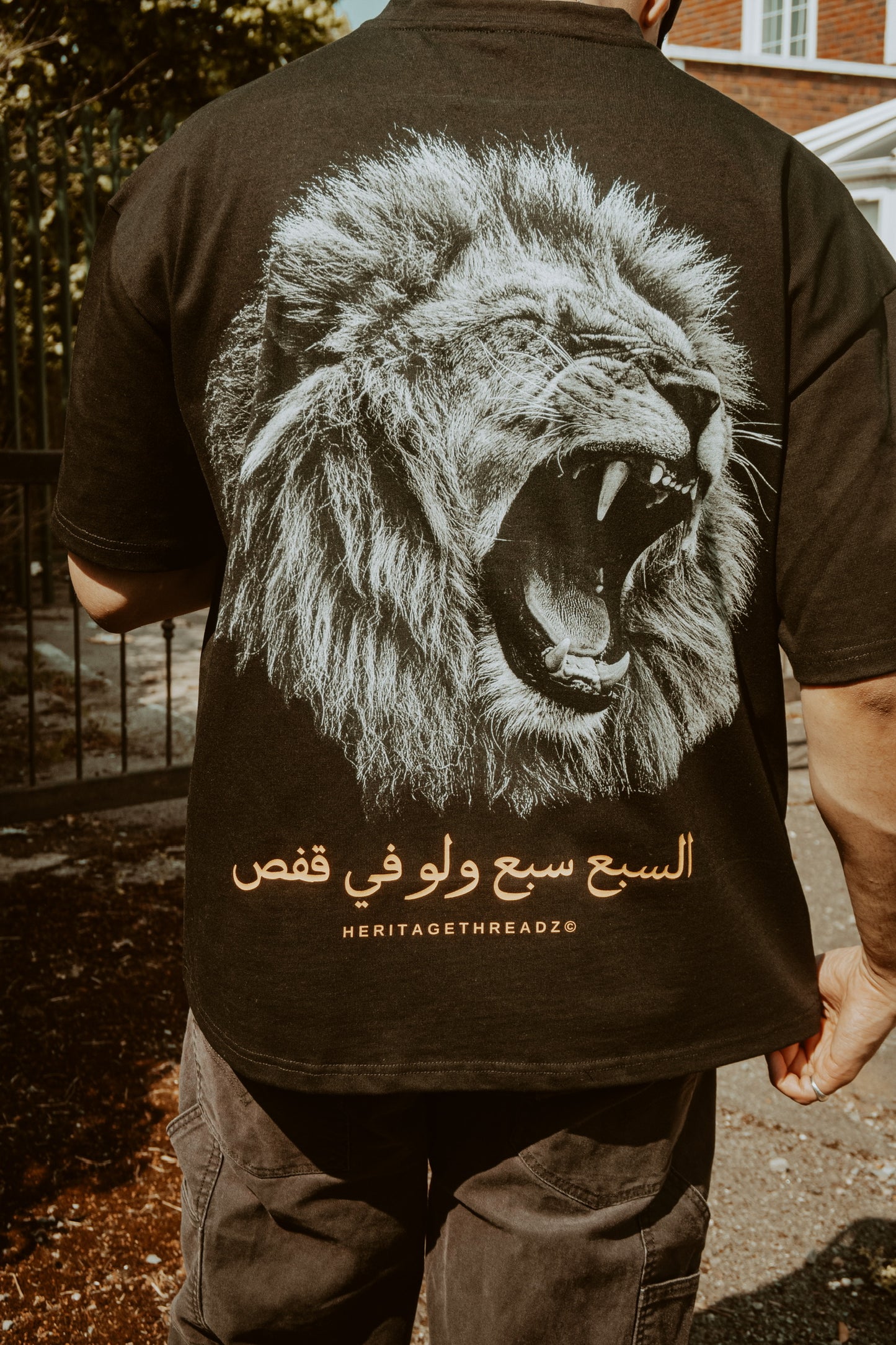 The Lion in the Cage Oversized Heavyweight T-Shirt | Pre-Order (Ships Late June)
